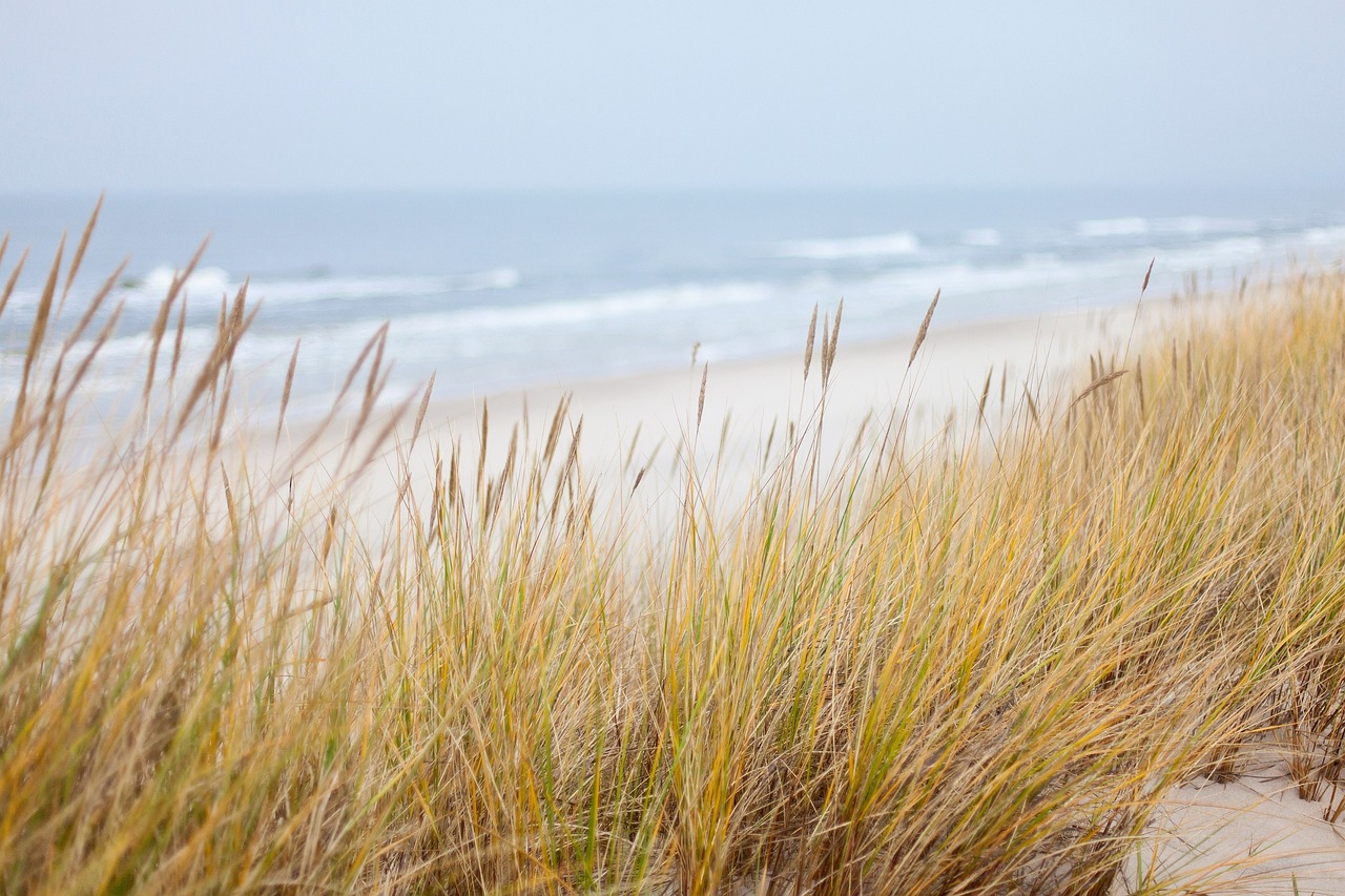 Dünen, Nordsee, Titelbild